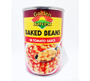 G/H BAKED BEAN T/S 420G