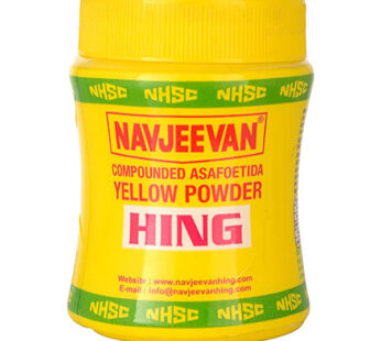 NAVJEEVAN HING PDR 100GM