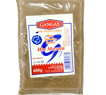 GANGAS HOT MASALA 400G