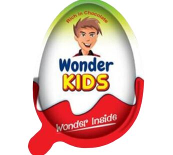 PRAN WONDER KIDS EGG 20g