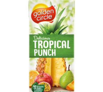 G/CIRCLE T/PUNCH T/PK 1LT