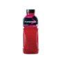 POWERADE BERRY ICE 500ML