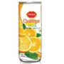 PRAN Orange Juice 250ml (Combi Pack)