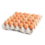 RAM SAMI EGGS (SIZE 7) 30s 1.65kg