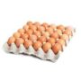 RAM SAMI EGGS  (SIZE9) 30s 1.95KG