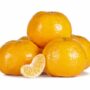 MANDARINES IMPORTED KG