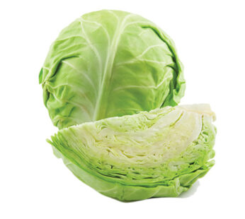 CABBAGE ENG IMP KG