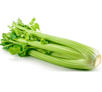 CELERY KG