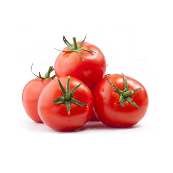 TOMATOES IMP KG