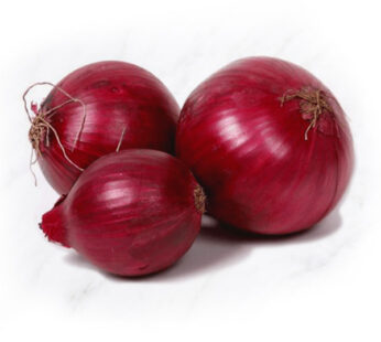 ONIONS RED IPMT KG
