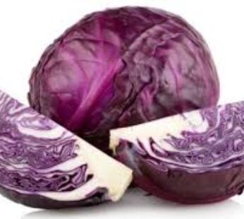 CABBAGE RED IMP KG