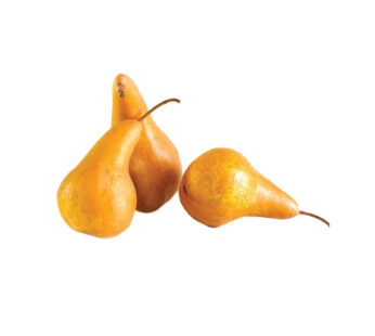 PEARS BROWN MEDIUM BOSC 113/125